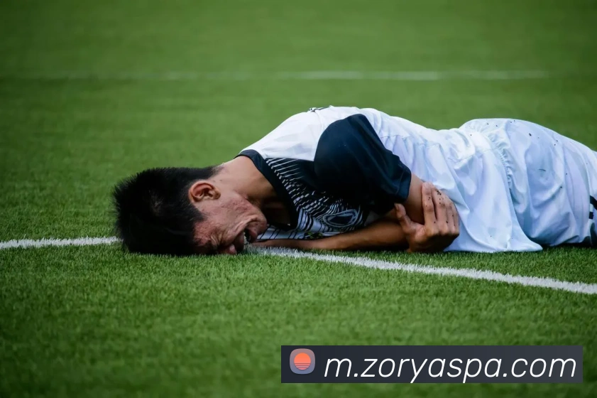 赛事专题整合